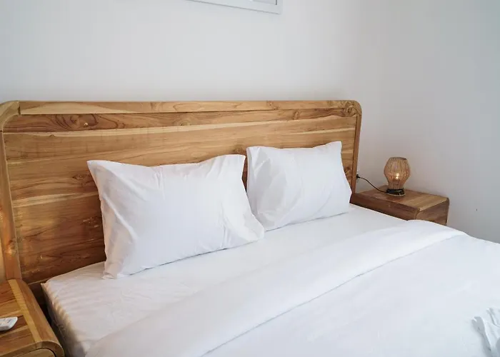 Leon Berawa 2br Private Pool By Bali Bliss Canggu